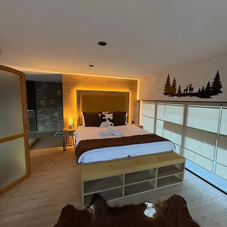 Loft Dağ evi Bansko